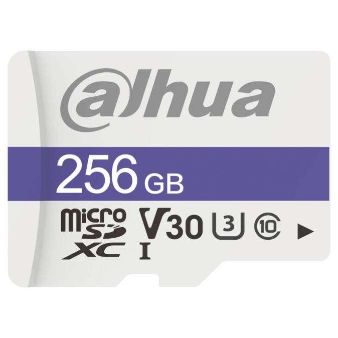 Dahua DHI-TF-C100/256GB Карта пам'яті microSD