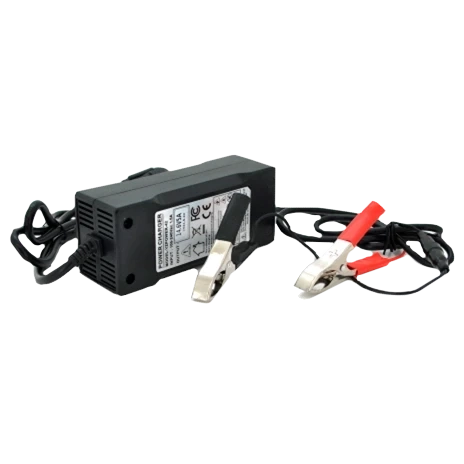 Merlion LiFePO4 12V(14,6V)-5A-60W Зарядний пристрій для акумуляторів фото 1