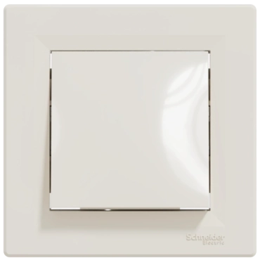 Schneider Electric Asfora EPH0400123 Переключатель одноклавишный самозажимной