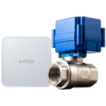 U-Prox Valve DN20 Моторизований клапан із блоком управління фото 1