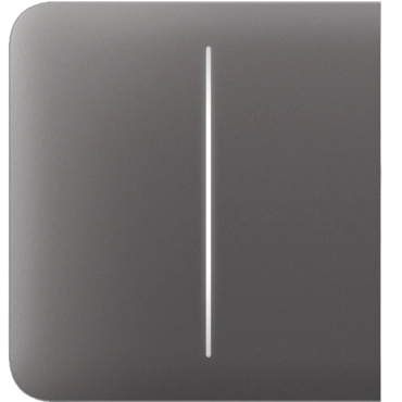 Ajax SideButton (2-gang) [55] grey Кнопка
