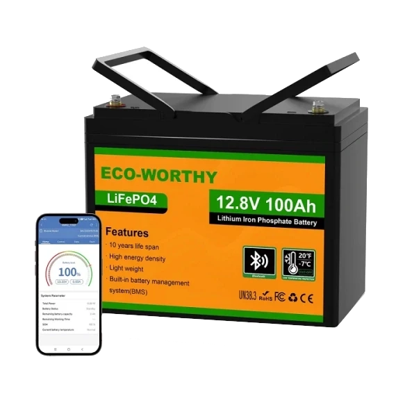 Eco-Worthy LiFePO4 12V 100Ah bluetooth Акумуляторна батарея фото 1